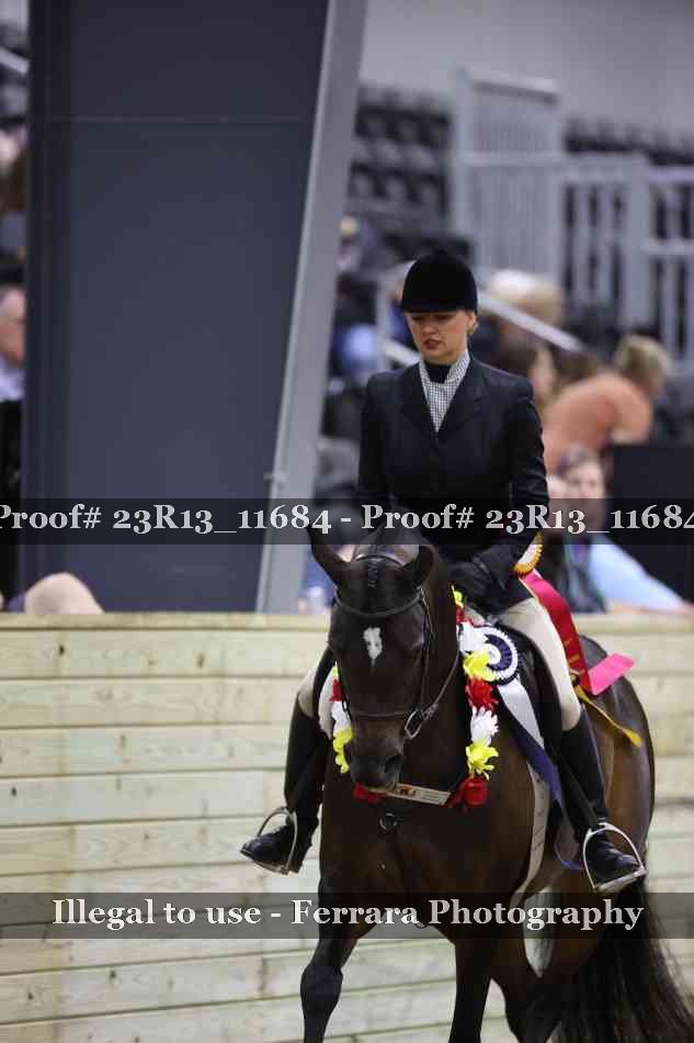 Proof 23R13_11684