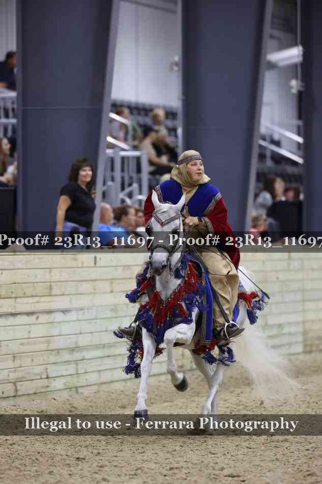 Proof 23R13_11697
