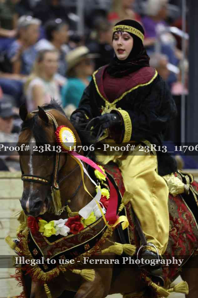 Proof 23R13_11706