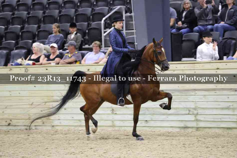 Proof 23R13_11743