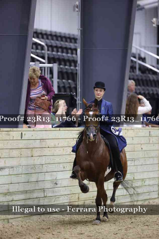 Proof 23R13_11766
