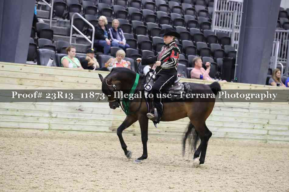 Proof 23R13_11873