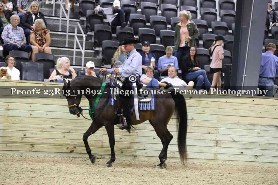 Proof 23R13_11892