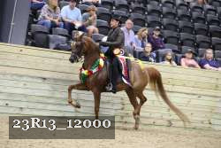 23R13_12000 proof