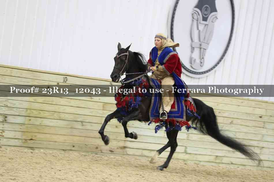 Proof 23R13_12043