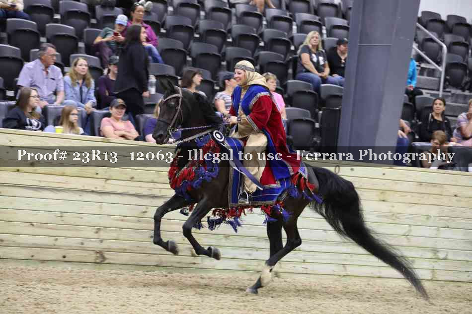 Proof 23R13_12063