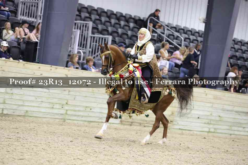 Proof 23R13_12072