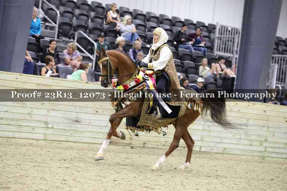 Proof 23R13_12073