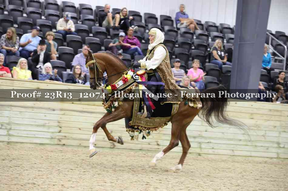 Proof 23R13_12074