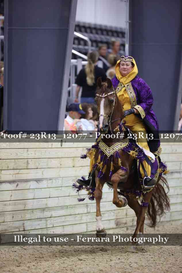 Proof 23R13_12077