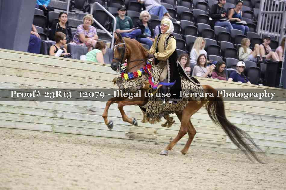 Proof 23R13_12079