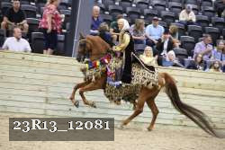 23R13_12081 proof