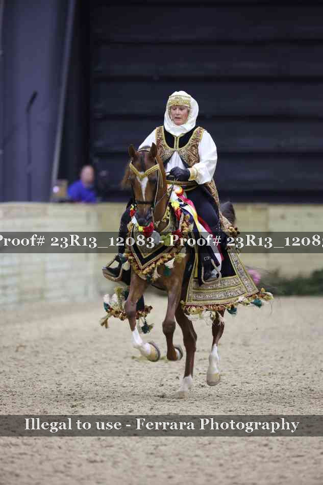 Proof 23R13_12083