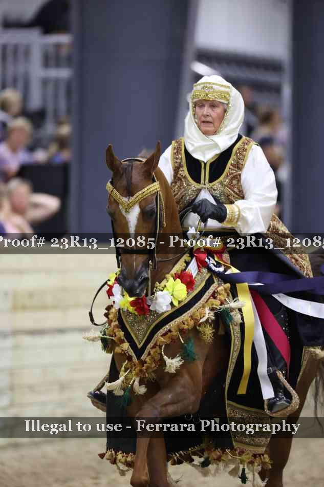 Proof 23R13_12085