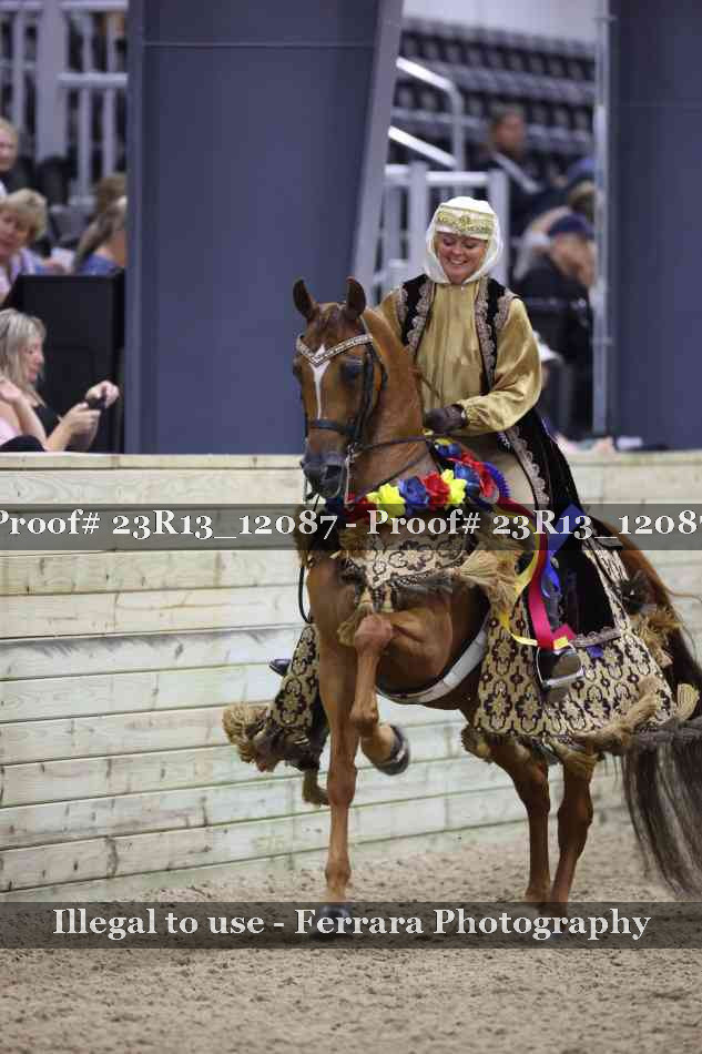 Proof 23R13_12087