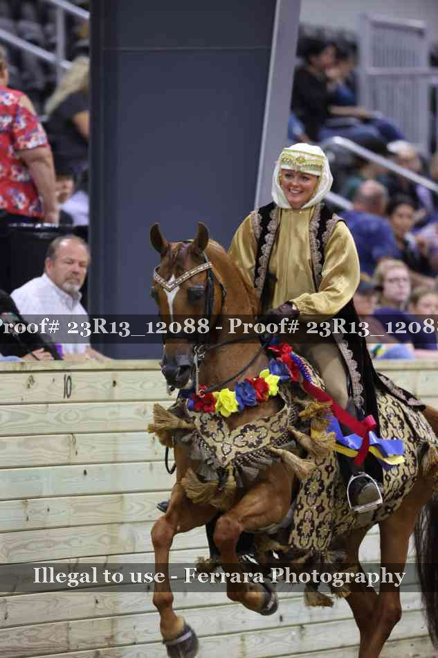 Proof 23R13_12088