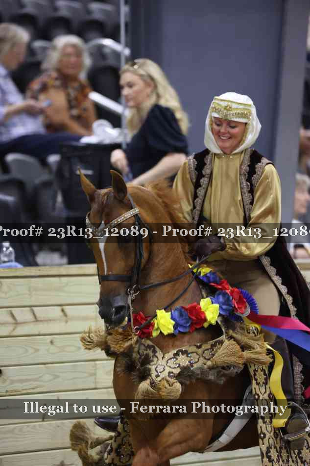 Proof 23R13_12089