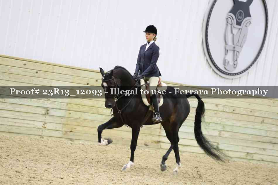 Proof 23R13_12093