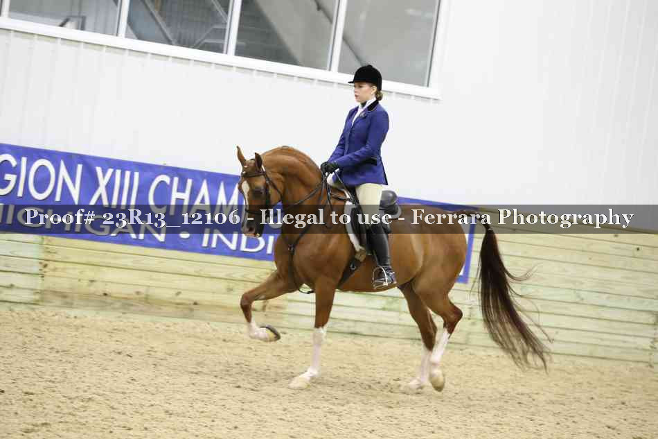 Proof 23R13_12106