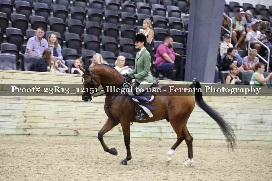 Proof 23R13_12151