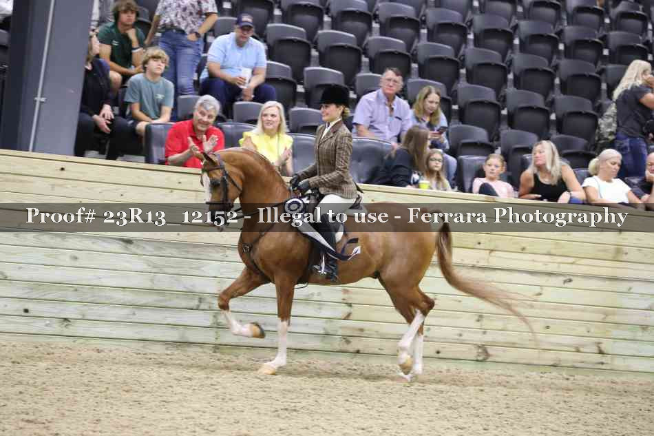 Proof 23R13_12152