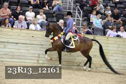 23R13_12161 proof