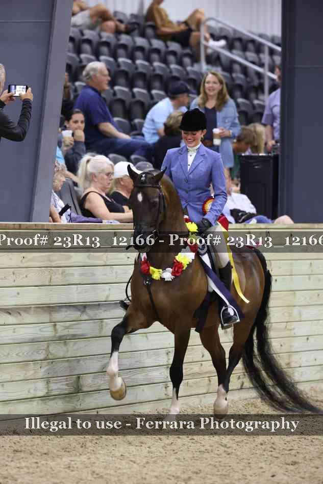 Proof 23R13_12166