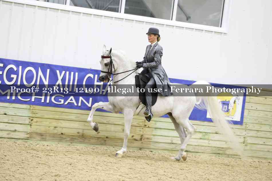 Proof 23R13_12190