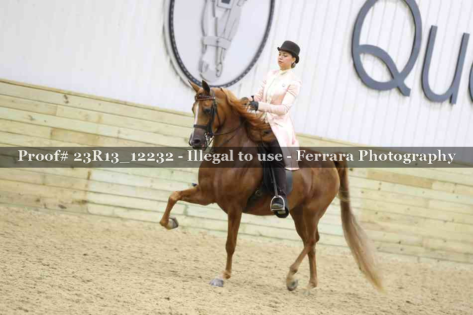Proof 23R13_12232