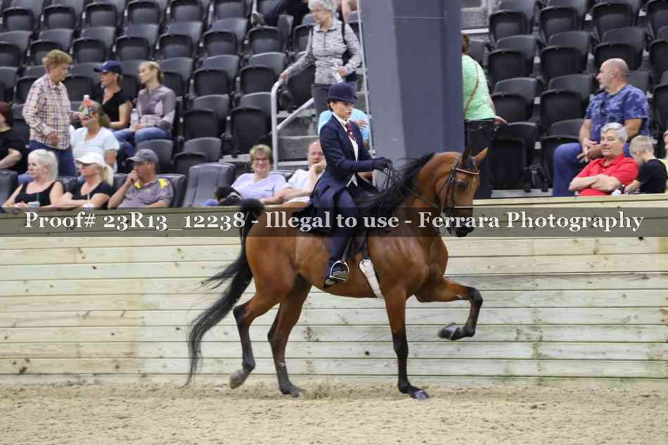 Proof 23R13_12238