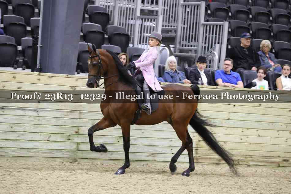 Proof 23R13_12329