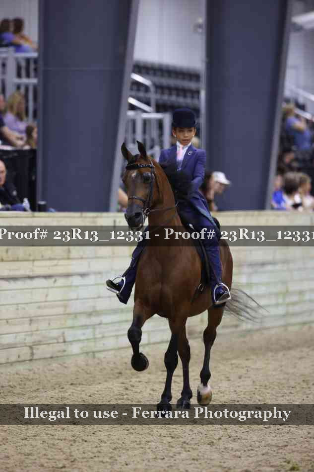 Proof 23R13_12331