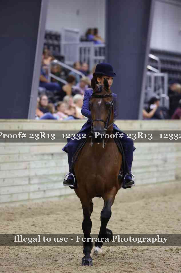 Proof 23R13_12332