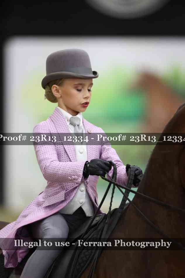 Proof 23R13_12334