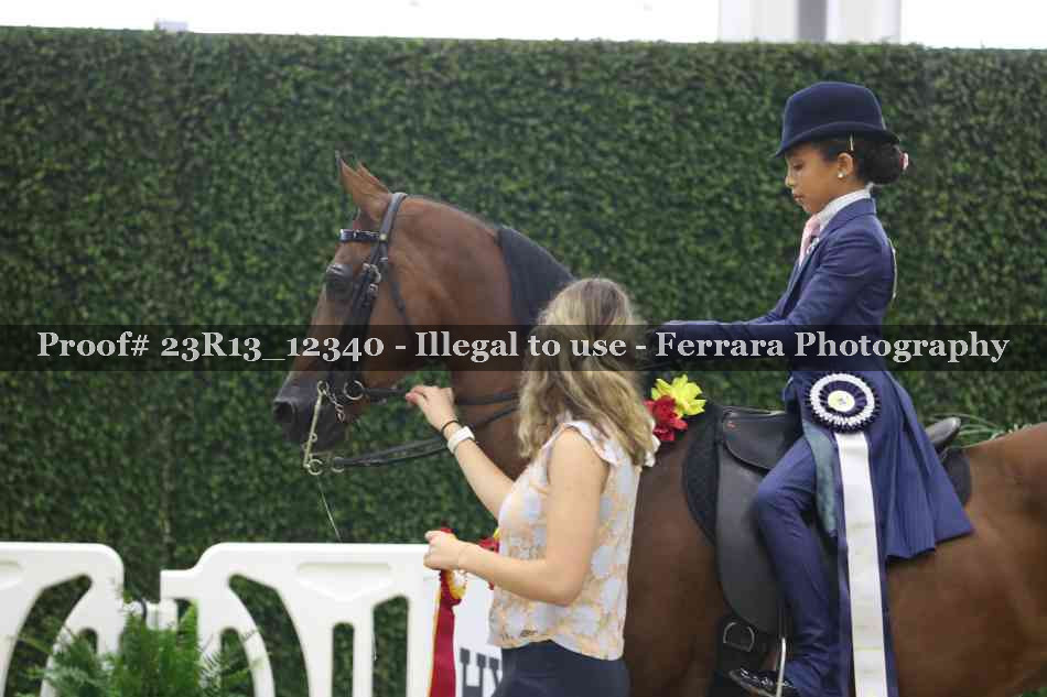 Proof 23R13_12340