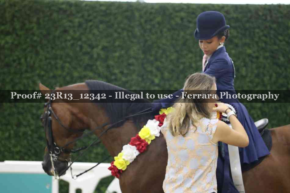 Proof 23R13_12342