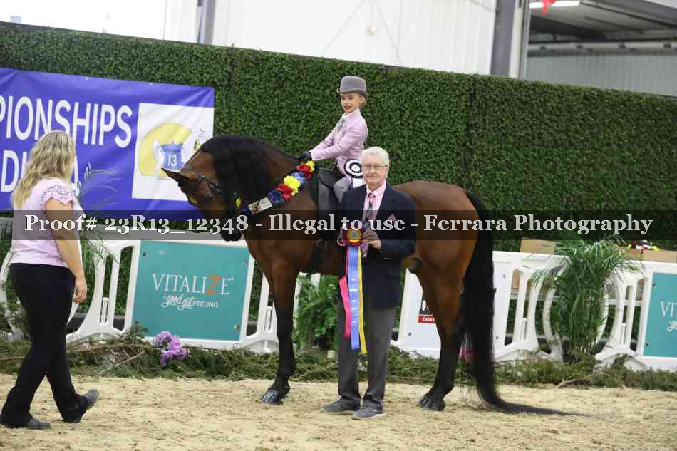Proof 23R13_12348