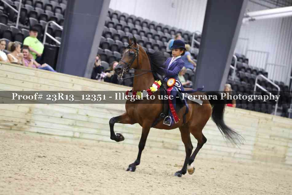 Proof 23R13_12351