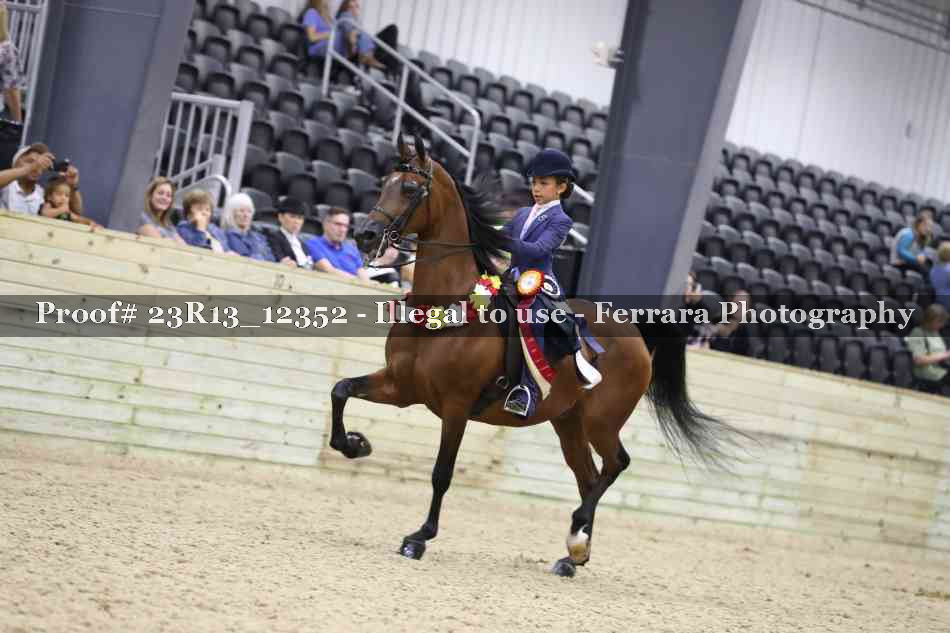 Proof 23R13_12352