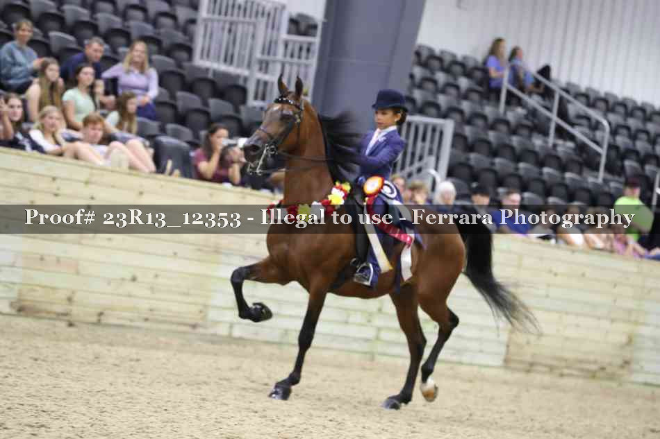 Proof 23R13_12353