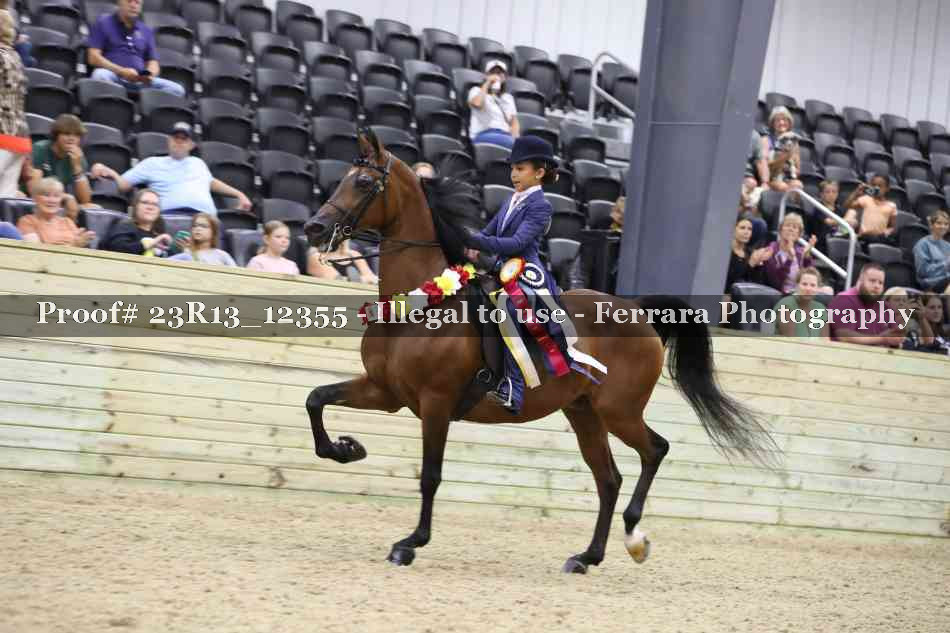 Proof 23R13_12355