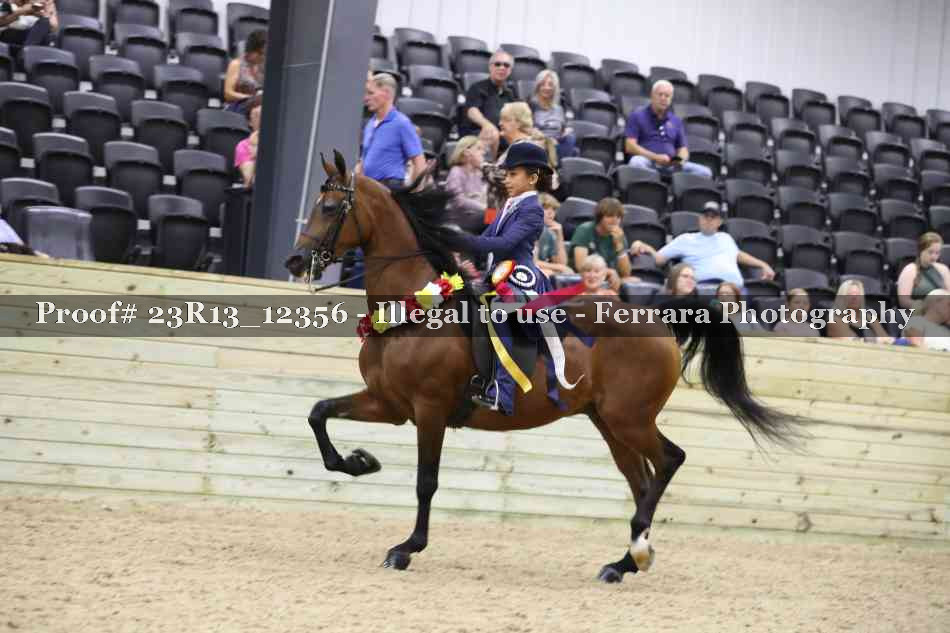Proof 23R13_12356