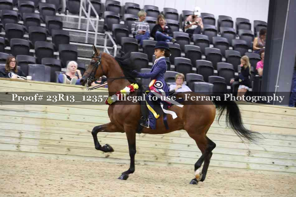 Proof 23R13_12357