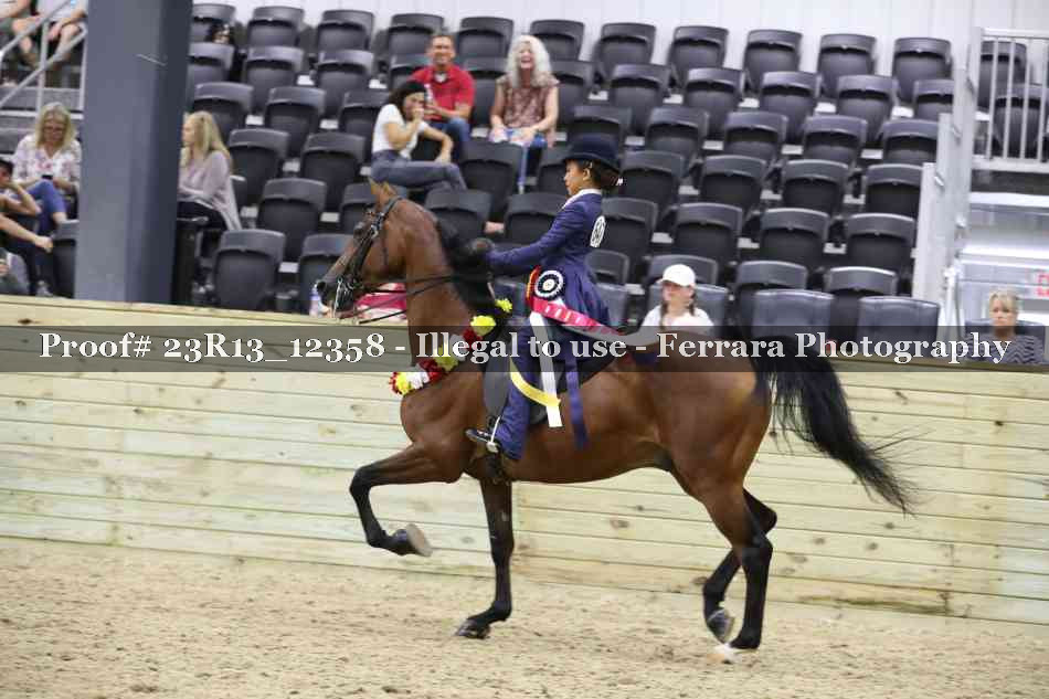 Proof 23R13_12358