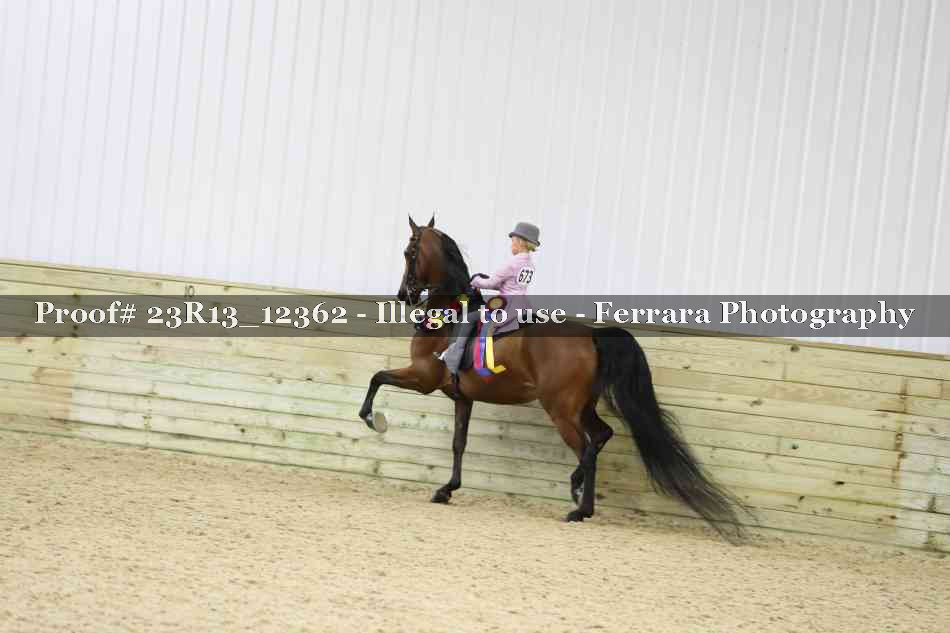 Proof 23R13_12362