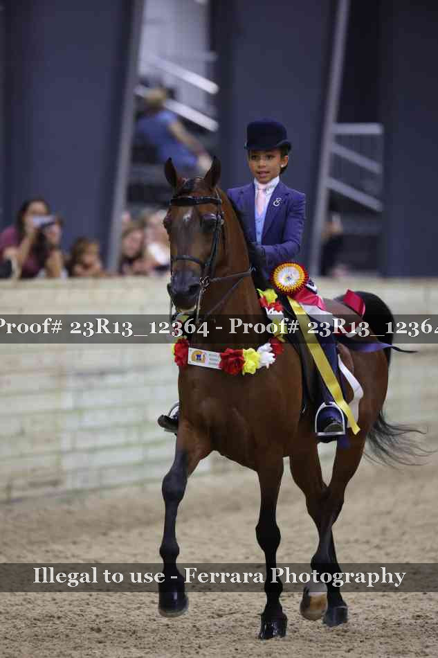 Proof 23R13_12364