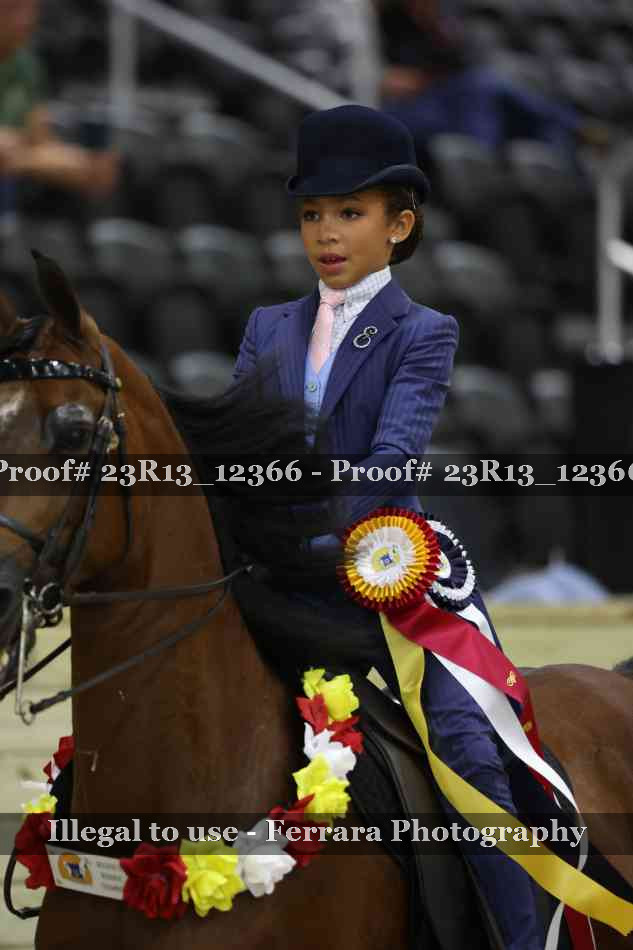 Proof 23R13_12366
