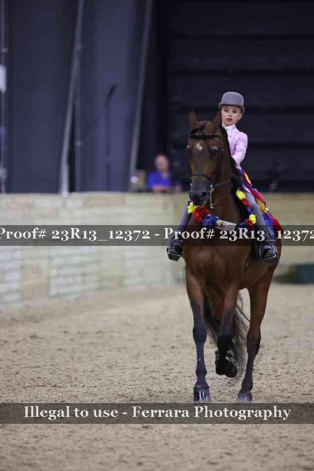 Proof 23R13_12372