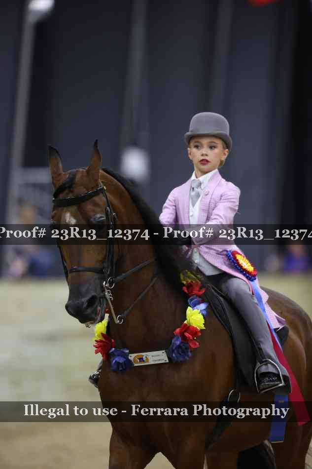 Proof 23R13_12374