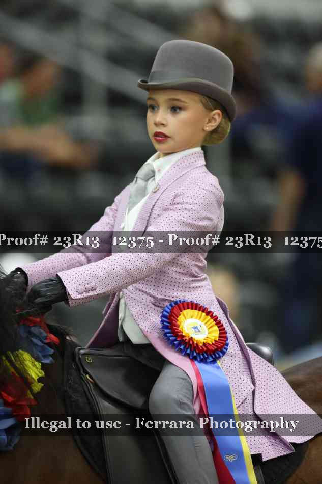 Proof 23R13_12375